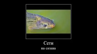 Михал Палыч   Сети на сазана (демотиватор)