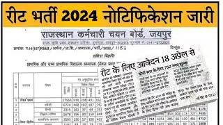 reet vacancy 2024  reet new vacancy 2024  reet vacancy notification 2024