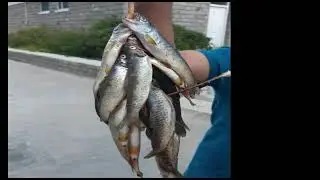 CATCHING FISH
