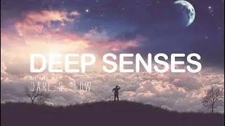 Darles Flow - Deep Senses | Deep Atmospheric House Mix 2020 | 📡
