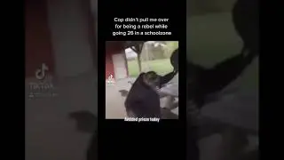 Rebel 
