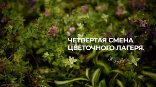 Четвёртая смена 