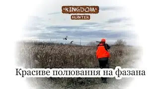 Красиве полювання на фазана