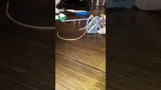 3D printed catapult