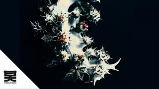 Rueben, Tyr Kohout, flowanastasia - Stereotype