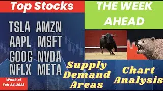 TSLA AAPL AMZN GOOG MSFT NVDA NFLX META   Feb 24 2023