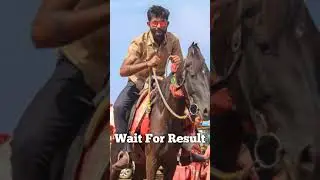 Horse Photo Editing by PicsArt || 