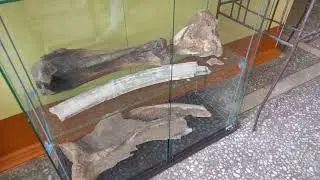 Экскурсия в школьном музее