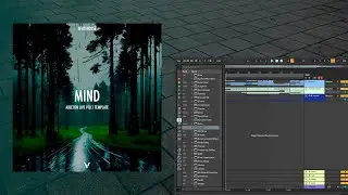 Afro House Ableton Template (Mind) (Antdot, Adam Port Style)