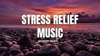 Relaxing Music For Meditation[ 3 ]||🐵 MONKEY MUSIC