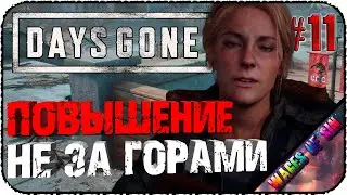 Работаем на жену - Стрим - 🏍 Days Gone #11