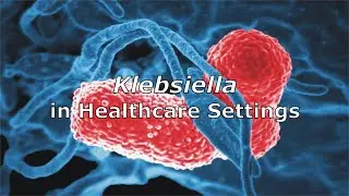 Klebsiella in Healthcare Settings