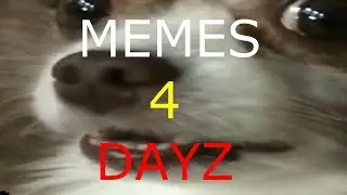 MEMES 4 DAYS 1