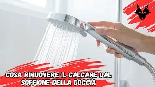 How to remove limescale from the shower head
