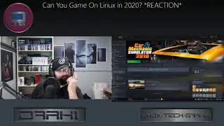 Can You GAME On LINUX in 2020? *REACTION*