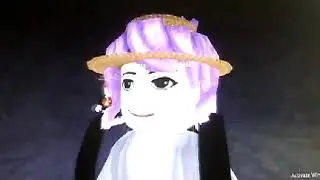 Robloxplaytime