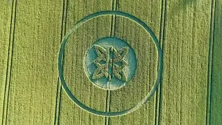 P celTic knot Phlower Crop Circle