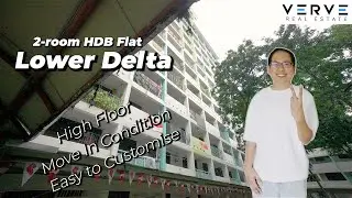 Lower Delta | 2-room HDB Flat | 452 sqft