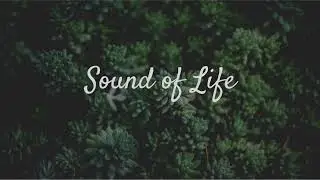 Relaxing Synth Music