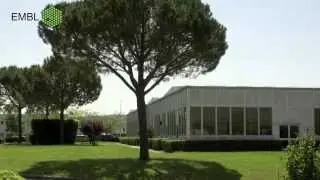 The European Molecular Biology Laboratory (EMBL) - Basic Research at its Best