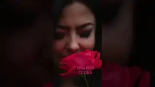 Слова - TANYA DOLYA 