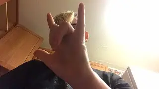 Q an A