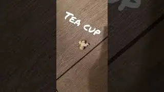 Popcorn teacup 🍵 😋 