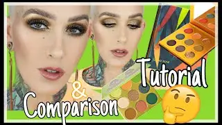 NEW COLOURED RAINE SAFARI RAINE PALETTE: Overview, Comparison & Tutorial