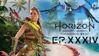 Horizon Запретный Запад Новая игра Плюс Ep. 34 Прохождение Без комментариев [4K PS5]