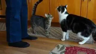 Quentin & Suki