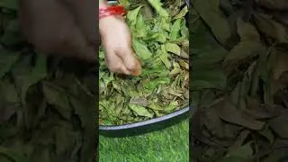 जिसे महंगे दामों में बाजार से खरीदते है अब घर में बनाएं 2 min में वो भी बिना 1 रुपए खर्च किए