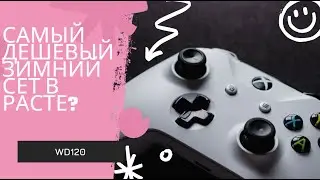 Самый дешёвый зимний сет в расте?