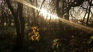 The cold beauty of a Northern European morning - Netherlands - Groningen - 2022