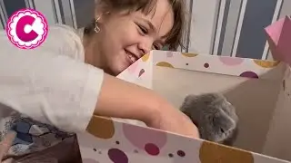 День рождения 9 лет.  Отмечаем день рождения.  Самый лучший подарок.