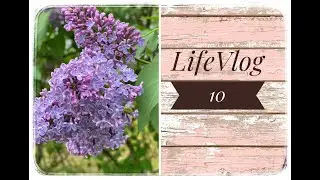 LifeVlog10. Let's continue. About our everyday life.