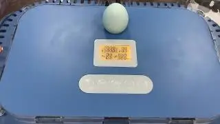 WONEGG New Trends 70 Eggs Incubator With Dual Power