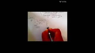 Python Transfer statements,  break , continue , pass statements in python, very important