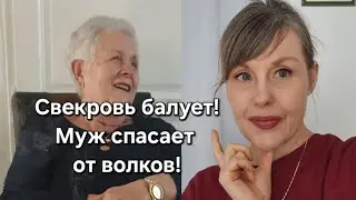 Французская свекровь балует, муж спасает от волков, а жандармы на грани!