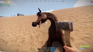 Rust (выживание с нуля) #8