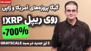 🚀 یک ارز دیجیتال پشت دو پروژه عظیم اقتصادی دولتی آمریکا و ژاپن! دو ارز جدید در رادار موسسه گری اسکیل