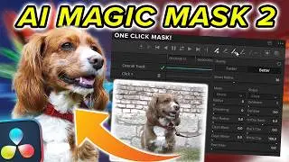 How to Use Magic Mask 2 in Davinci Resolve 20 Tutorial