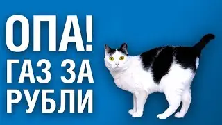 Россия переходит на газ за рубли