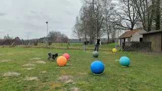 Task 13