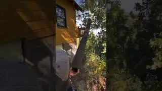 уххххх .... это надо видеть #shorts
