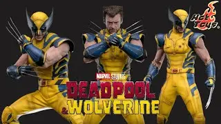 Hot Toys Deadpool & Wolverine MMS754 Wolverine Deluxe Version 1/6th Scale Collectible Figure
