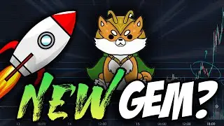 Lil Floki Token lilfloki Crypto Price Prediction ✅ Will I Buy Some? *WATCH BEFORE YOU BUY*