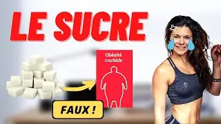L’addiction au sucre fait-elle grossir ? (Juju FitCats en PLS)