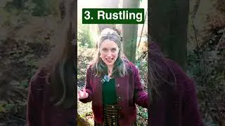 5 ways to describe a beautiful forest 🥹🌳🌲✨🌳🌲 