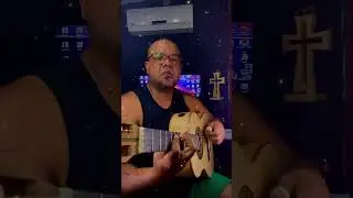 VC CONHECE ESSA MÚSICA? #musica #viola #violaraiz  #violeira #violeiro #sertanejo #violanaveia