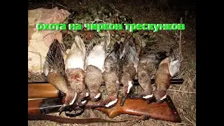 Охота На Чирков Трескунков
